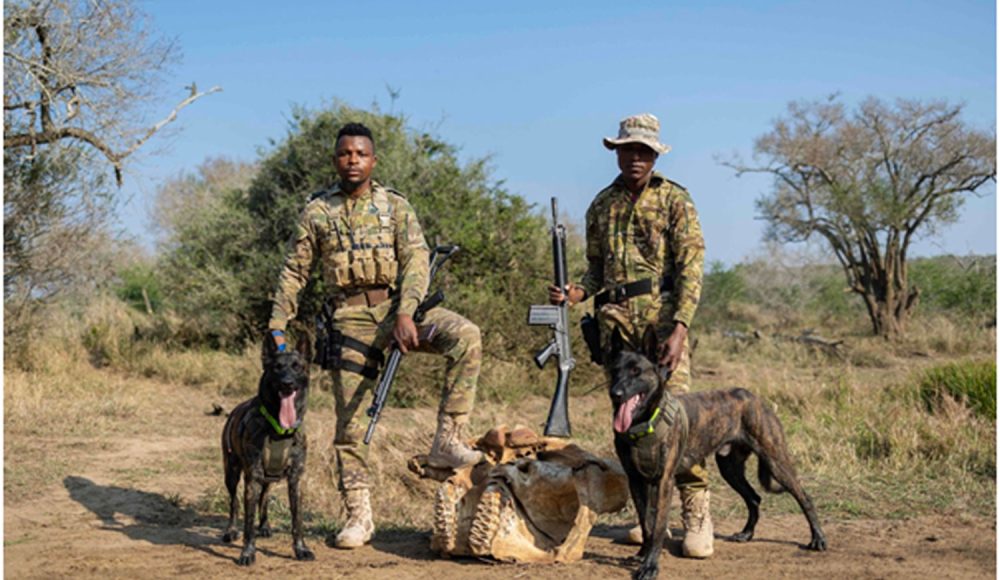 Anti-poaching K9s: A ranger’s best friend in the fight for rhinos