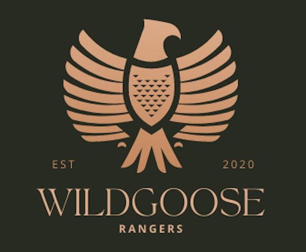 Wildgoose Experiences based in Wales and their awesome vision for the future of corporate escapes and wildlife protection.