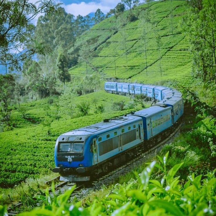 Scenic Train Ride, Sri Lanka